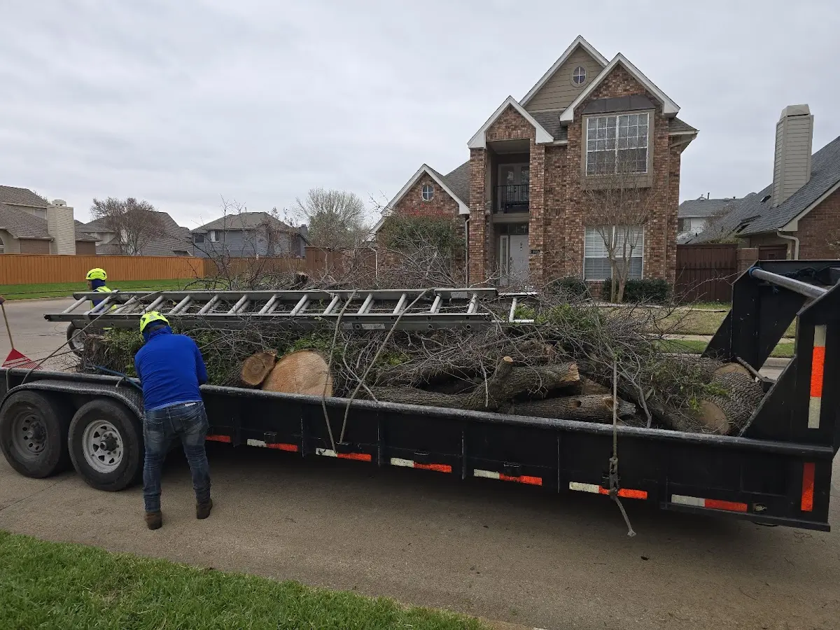 Expert Tree Removal with proper safety equipment in Atwood